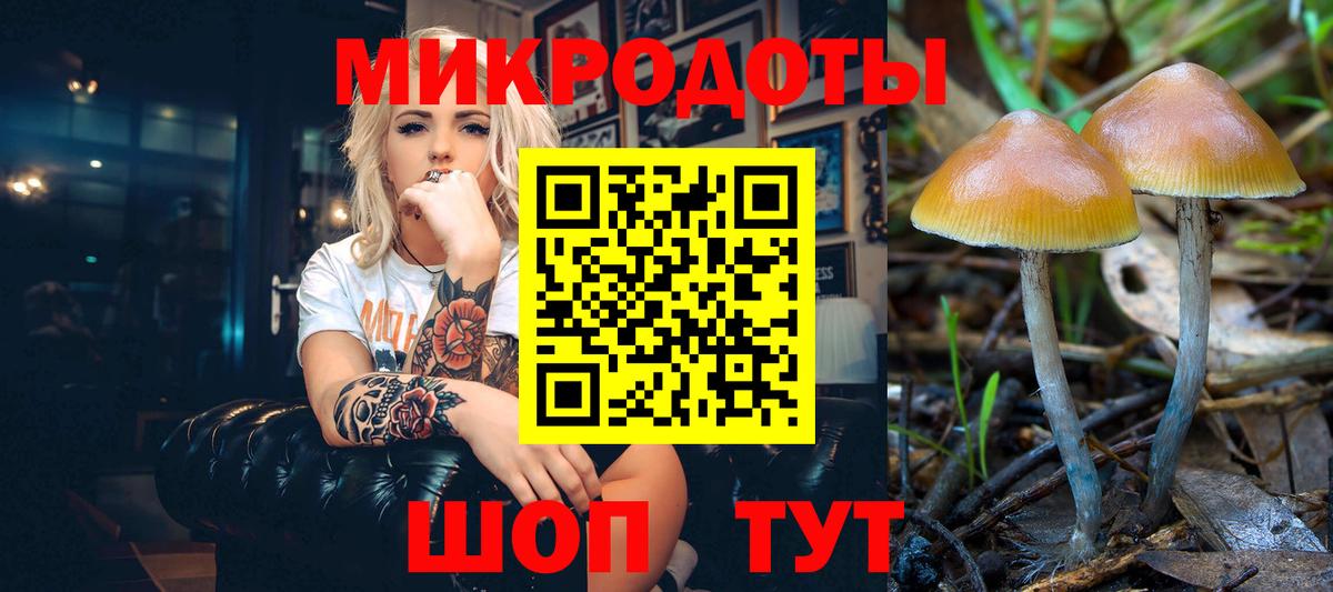 Анжеро-Судженск  Псилоцибиновые грибы Psilocybine cubensis  Вход с VPN 